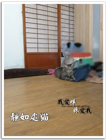 運動吧~班克 02.jpg