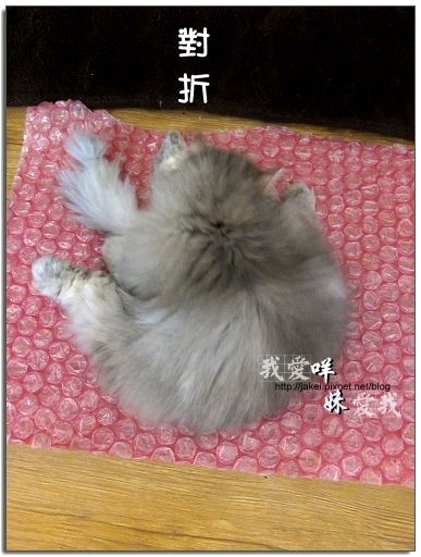 100403 翹腳咩抬腳 06.jpg