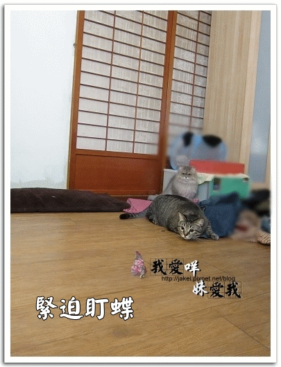 運動吧~班克 05.gif