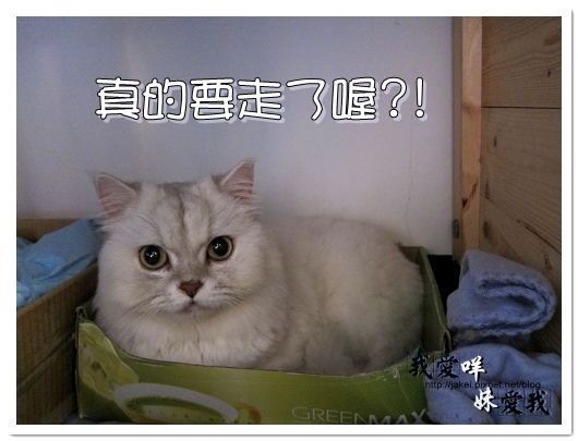 100320 球球來作客 19.jpg