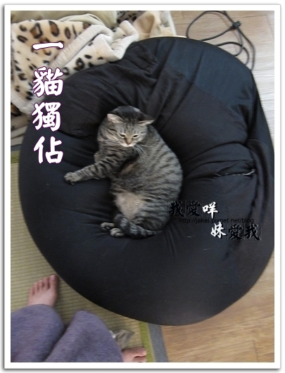 100326 班克愛懶骨頭 03.jpg