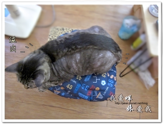 100514 不要舔肚子 27.jpg 100514 不要舔肚子 27.jpg
