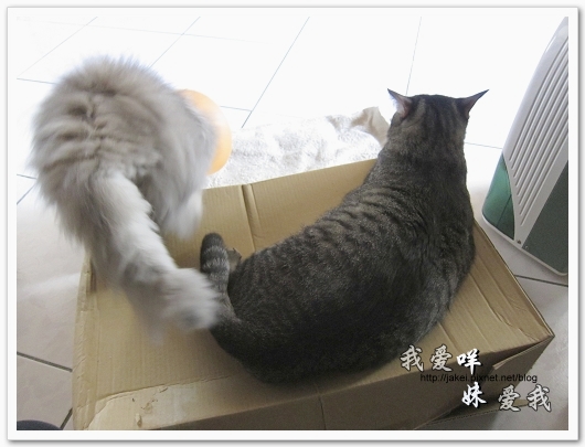 100501 分享 07.jpg 100501 分享 07.jpg
