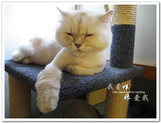 2010-05 球球09.jpg 2010-05 球球09.jpg
