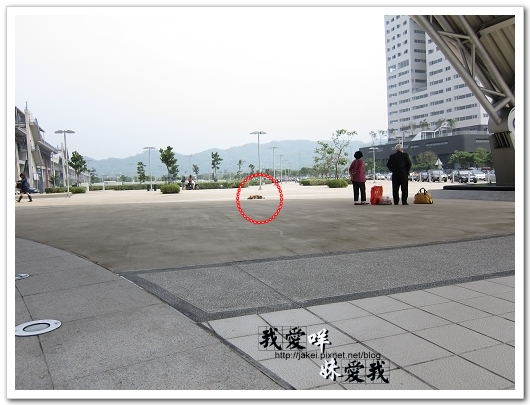 100410 鶯歌飄_06.jpg