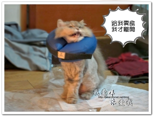 100521 LATIV 開箱 12.jpg 100521 LATIV 開箱 12.jpg