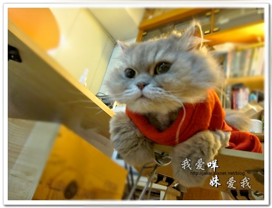 100514 不要舔肚子14.jpg 100514 不要舔肚子14.jpg