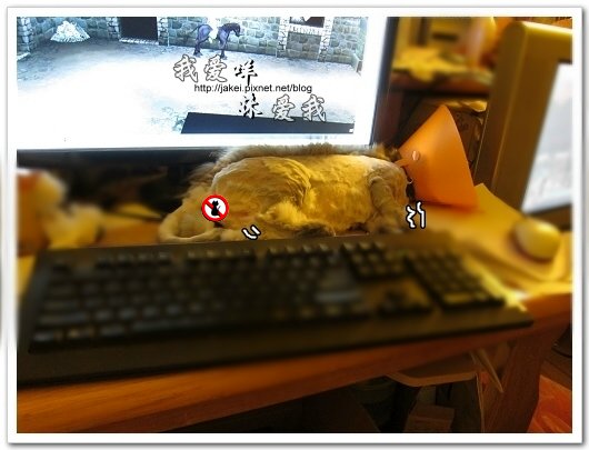 100505 雙貓嚕毛 45.jpg