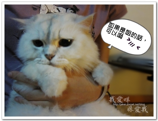 20100724 乖乖抱 3.jpg