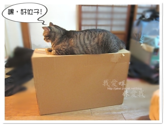 100423 有個高箱子 05.jpg