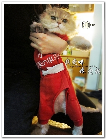 100514 不要舔肚子05.jpg 100514 不要舔肚子05.jpg