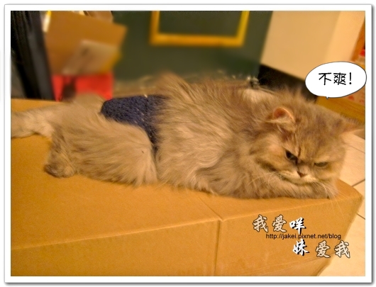 100504 內褲咩 03.jpg 100504 內褲咩 03.jpg