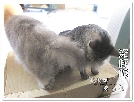 100501 分享 06.jpg 100501 分享 06.jpg