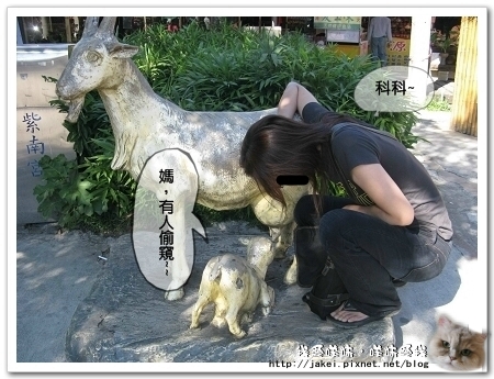 紫南宮 47.jpg 紫南宮 47.jpg