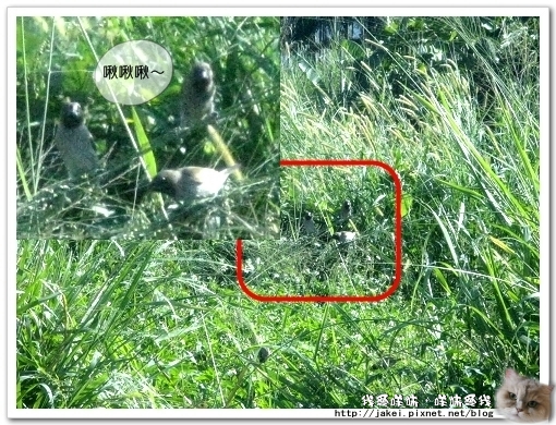 信義酒莊 04.jpg 信義酒莊 04.jpg