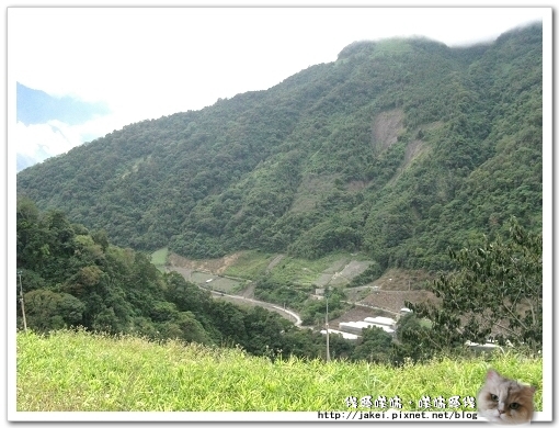 東埔吊橋 05.jpg
