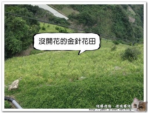 東埔吊橋 07.jpg