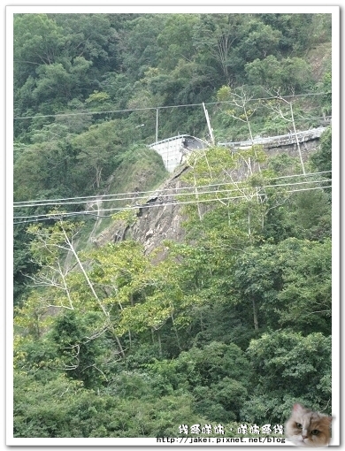 東埔吊橋 13.jpg