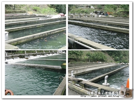 虹鱒場 01.jpg
