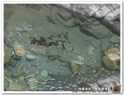 虹鱒場 26.jpg
