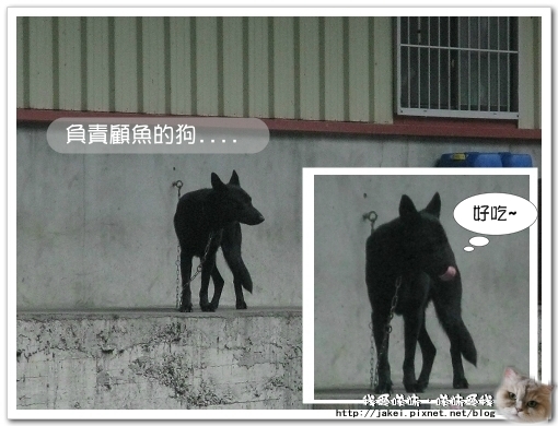 虹鱒場 30.jpg