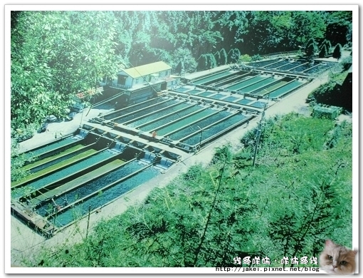 虹鱒場 32.jpg