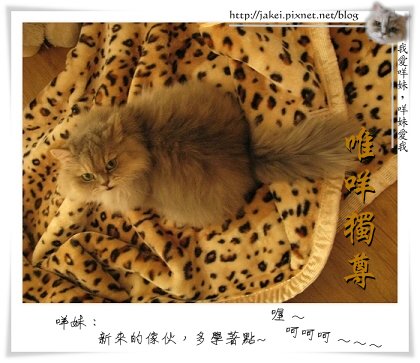 06 中性才是王道.jpg