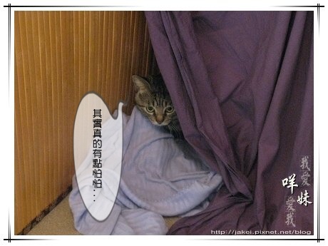 IMG_5498 其實有點怕怕.jpg