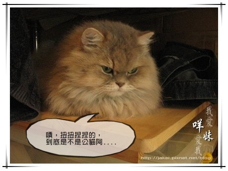 IMG_5540 嘖 是不是男人阿.jpg