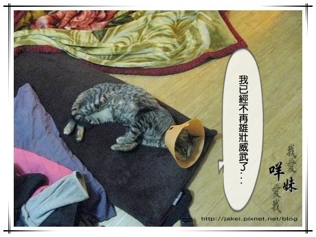 IMG_5739 攤.jpg