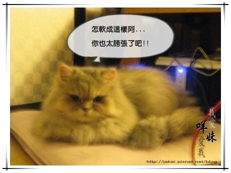 IMG_5762 怎軟成這樣.jpg