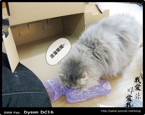 Dyson 11.jpg