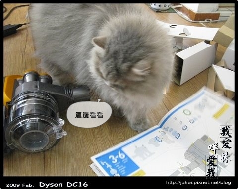 Dyson 12.jpg