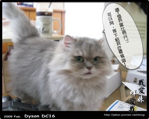 Dyson 13.jpg
