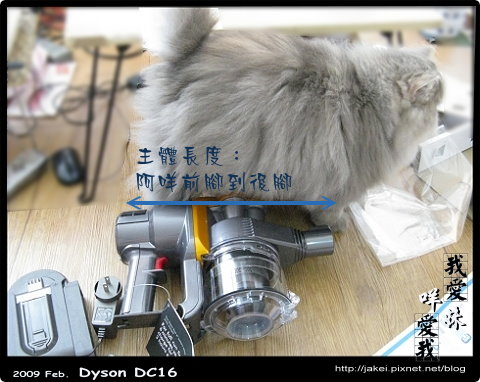 Dyson 14.jpg