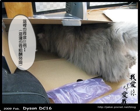 Dyson 15.jpg
