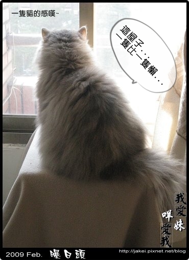 曝日頭 咩妹 07.jpg