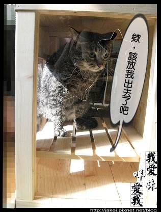 烘毛實錄 10.jpg
