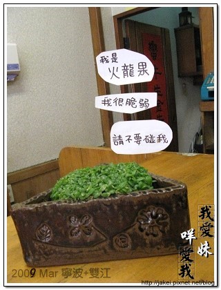 寧波雙江 29.jpg 寧波雙江 29.jpg