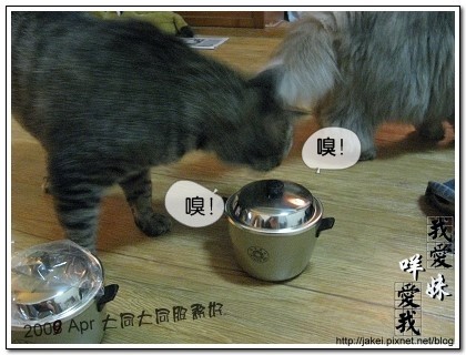 小電鍋 04.jpg 小電鍋 04.jpg