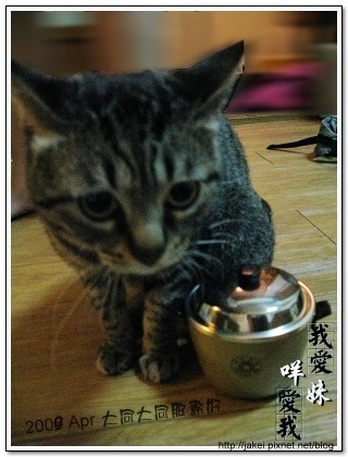 小電鍋 14.jpg 小電鍋 14.jpg