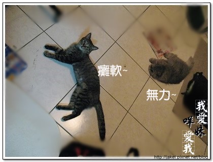 綿羊帽 05.jpg 綿羊帽 05.jpg
