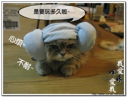 綿羊帽 10.jpg 綿羊帽 10.jpg
