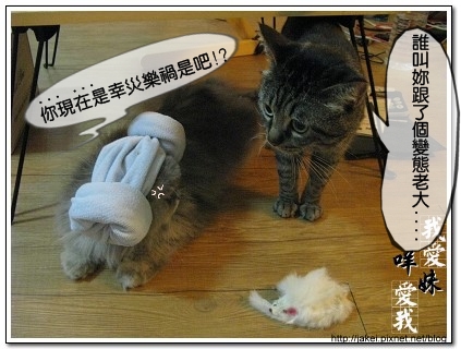 綿羊帽 11.jpg 綿羊帽 11.jpg