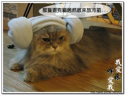 綿羊帽 12.jpg 綿羊帽 12.jpg