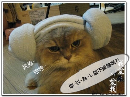 綿羊帽 13.jpg 綿羊帽 13.jpg