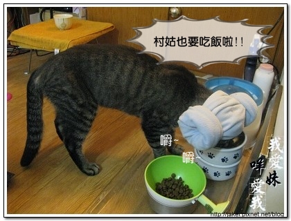 綿羊帽 17.jpg 綿羊帽 17.jpg