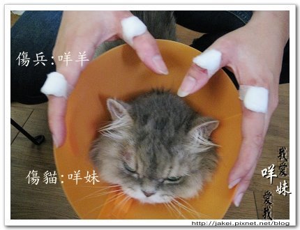 手指扎針