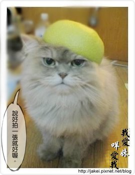 2009 中秋 8.jpg