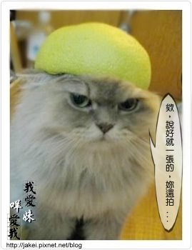 2009 中秋 9.jpg